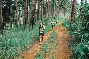 BIB: 
                            <button type="button" onclick="openModal(25682825)" class="btn btn-primary btn-sm float-right btn-popup" data-toggle="modal" data-target=".modal-high-quality">
                        <i class="fas fa-shopping-cart"></i> Add to Cart
                    </button>
                                            <button type="button" onclick="isThisMe(25682825, true)" class="btn btn-success btn-sm float-right btn-popup btn-isme hidden" data-toggle="tooltip" data-placement="bottom" title="นี่คือรูปของคุณใช่ไหม คลิกที่นี่เพื่อเอาเข้าอัลบั้ม">
                        <i class="fas fa-plus"></i> Add to album
                    </button>
                    <button type="button" onclick="isThisMe(25682825, false)" class="btn btn-warning btn-sm float-right btn-popup btn-isnotme hidden">
                        <i class="fas fa-ban"></i> Remove from album
                    </button>